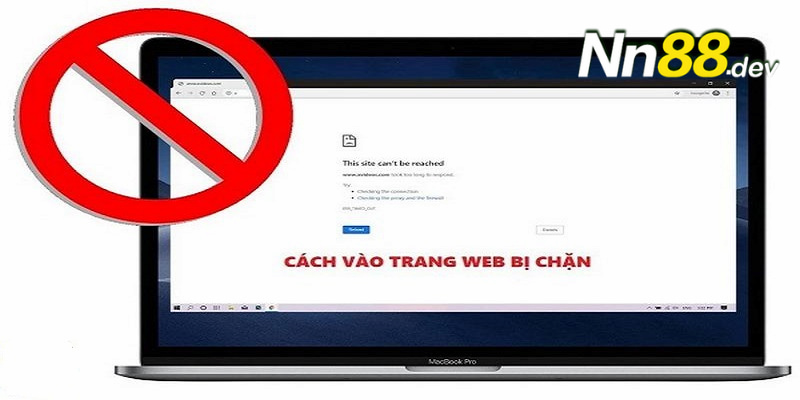 Khi đặt cược vào các đội bóng thuộc cấp độ Z8bet, người chơi nên chú ý đến những điểm sau: - Z8bet