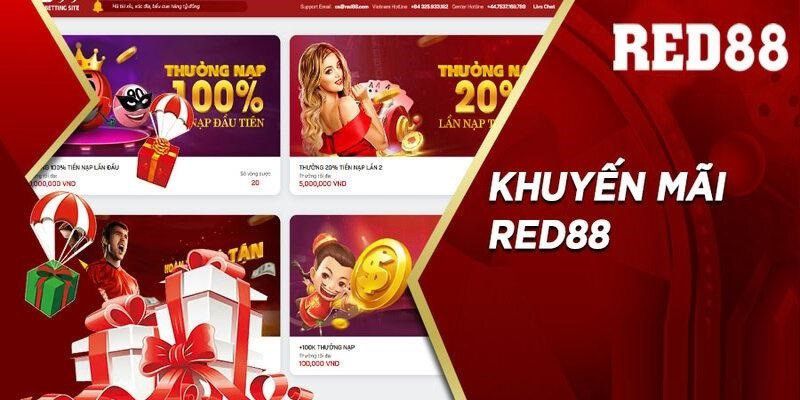 Nền tảng D9bet cung cấp tiền thưởng chào mừng 100% lên đến 1100 reais - D9bet