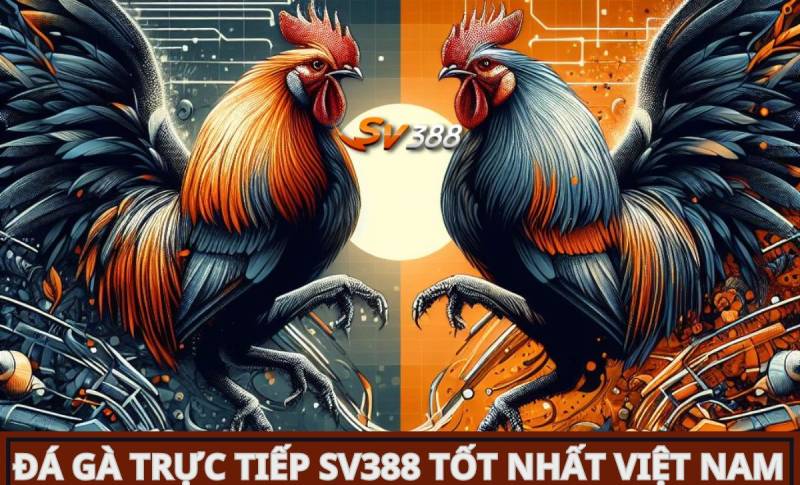 Mỗi ngày đều có những ưu đãi khuyến mãi hấp dẫn dành cho bạn! - Xso99