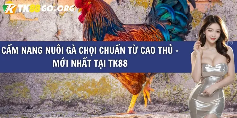 Game câu cá đỉnh cao với phần thưởng hậu hĩnh - Red88