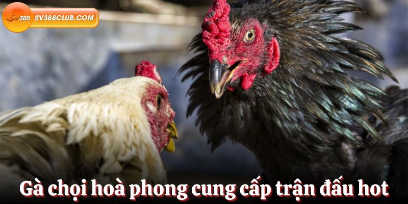 Khuyến mãi đặc biệt dành cho game thủ Viu88 - Viu88