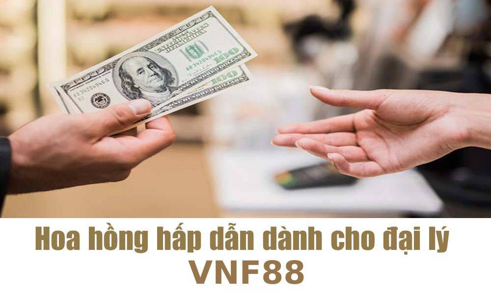 Giới thiệu trò chơi thẻ bài Vnq8 - Vnq8