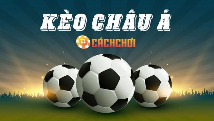 Mu8 cung cấp nhiều quyền lợi hấp dẫn cho tất cả các thành viên - Mu8