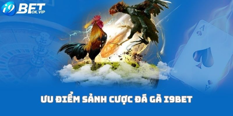Câu hỏi thường gặp và hỗ trợ khách hàng của Fconline - Fconline