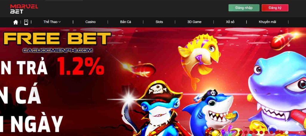 Giải đáp nhanh một số câu hỏi thường gặp về trang web Hl8 Games - Hl8
