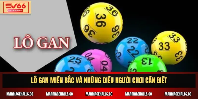 Hướng dẫn cách đặt cược và tham gia các trò chơi thể thao trực tuyến tại 97Win - 97Win