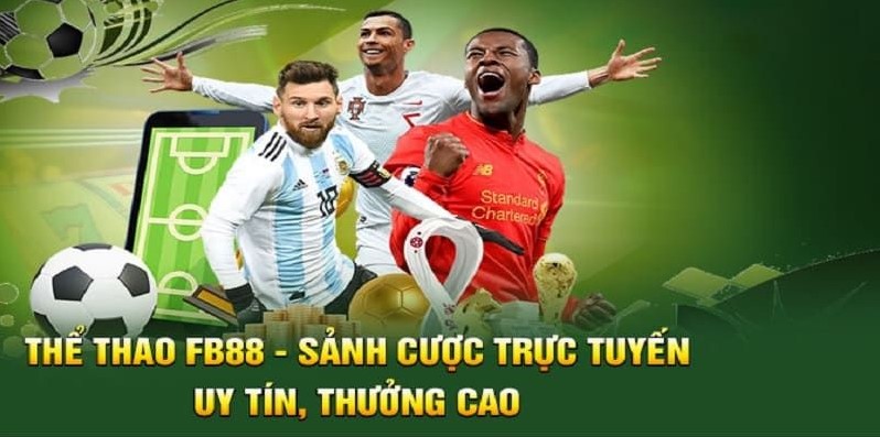 Đánh giá nền tảng Ptwin - Ptwin