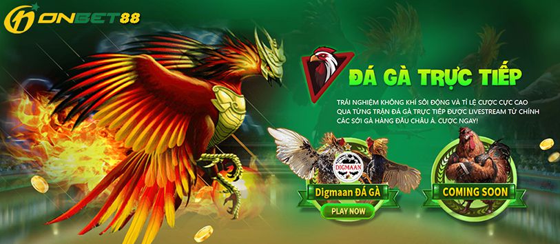 Kiểm tra độ bảo mật của các trang web chơi game được xếp hạng Lucky88 - Lucky88