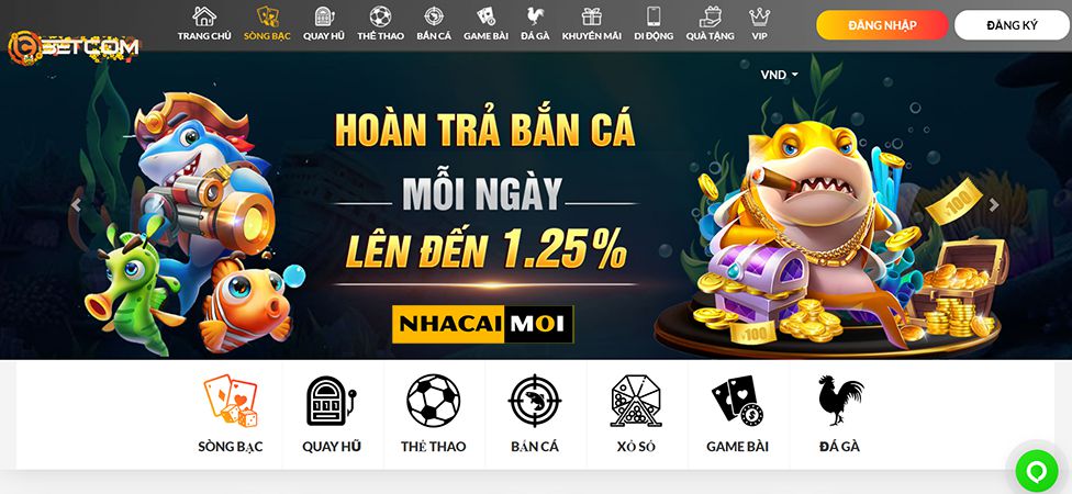 Lý do nên chọn Soco88 làm nền tảng cá cược của bạn - Soco88