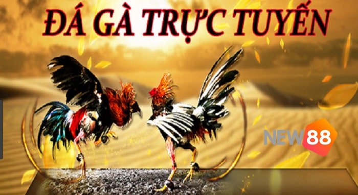 Khám phá bộ sưu tập khổng lồ các tựa game hàng đầu chỉ có tại Sb365 - Sb365